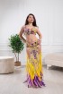 Professional bellydance costume (Classic 290a)